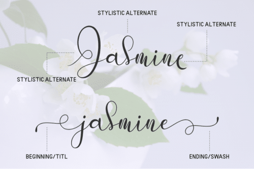 Putih Jasmine Font Duo 4