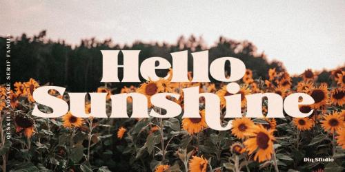 Qeskile Voyage Serif Font 3