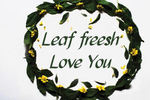 Quince Flower Brush Font 2