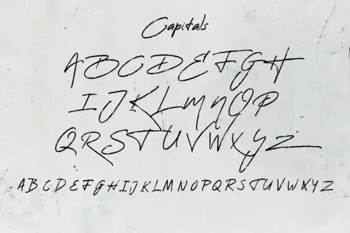 Reey Script Font 1