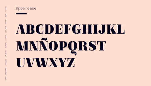 Regattia Typeface  1
