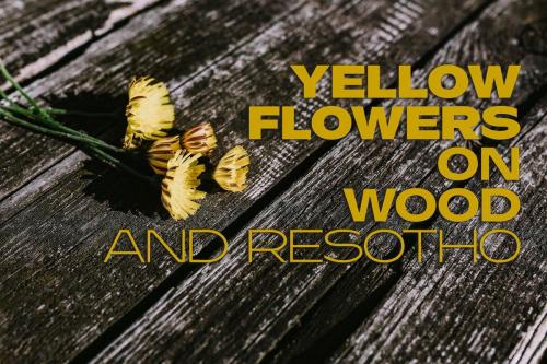 Resotho Sans Serif Font 2