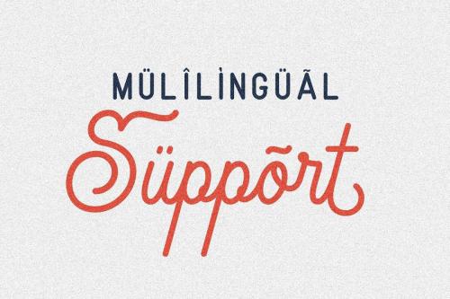 Rigoletto Script Font  13