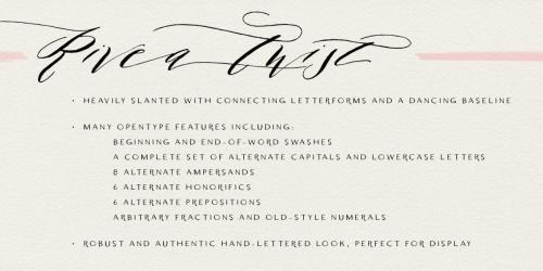 Rivea Font Family 1