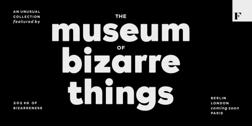 Rockford Sans Serif Font 1