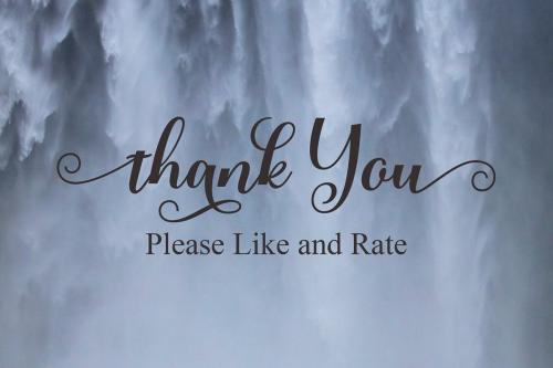 Rubeckia Calligraphy Font 9