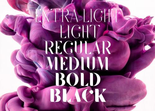 SF Kingston Font Family 1