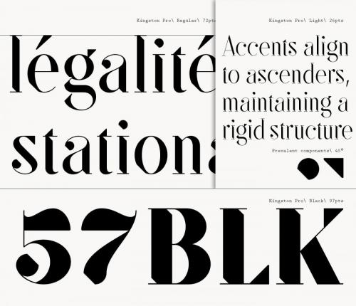 SF Kingston Font Family 4