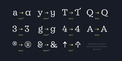 Sagona Font Family  9