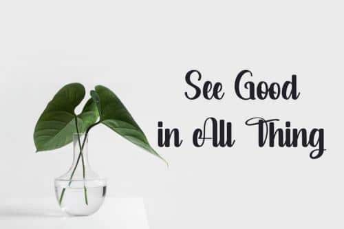 Salsabella Cute Script Font  8