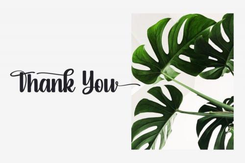 Salsabella Cute Script Font  9