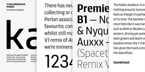 Scansky Sans Serif Font  2