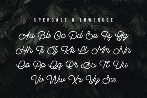 Sebasta Vintage Font 4