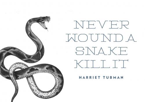 Serpent Display Font