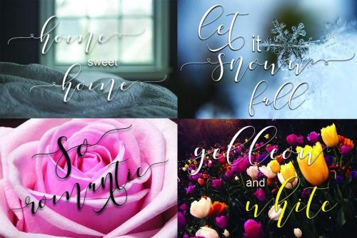 Shania Sweet Calligraphy Font 1