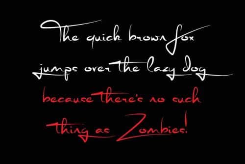 Signature Font – Stephen Type – Logo  2