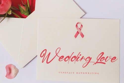 Signature Script Font 3