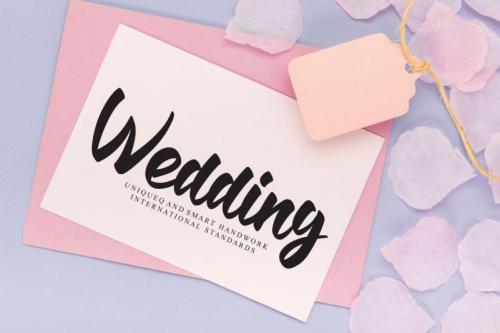 Snowball Bush Script Font 2