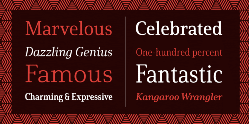 Solitas Serif Font Family  12