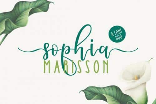 Sophia Marisson Script Font Duo 1