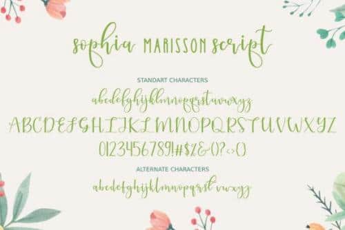 Sophia Marisson Script Font Duo 11