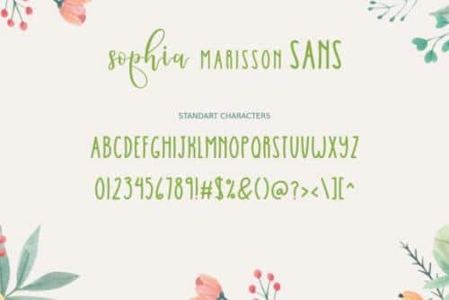 Sophia Marisson Script Font Duo 12