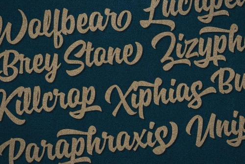Specta Retro Script Font  11