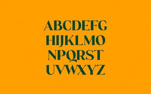 St Martini Serif Font  1