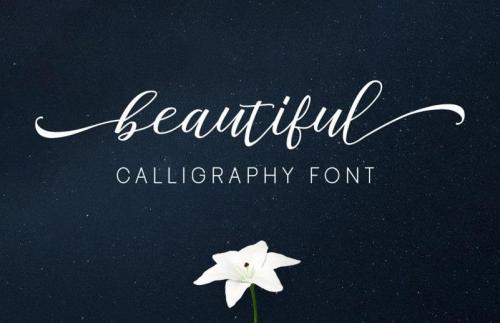 Staples Calligraphy Font 2
