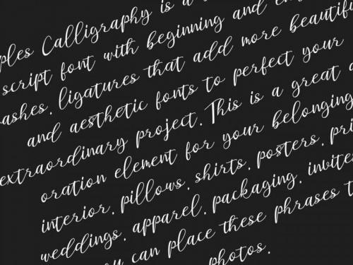 Staples Calligraphy Font 3