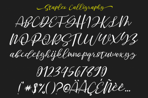 Staples Calligraphy Font 4