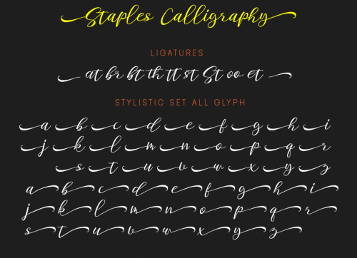 Staples Calligraphy Font 5