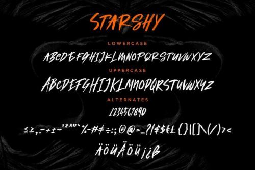 Starshy Brush Font  6