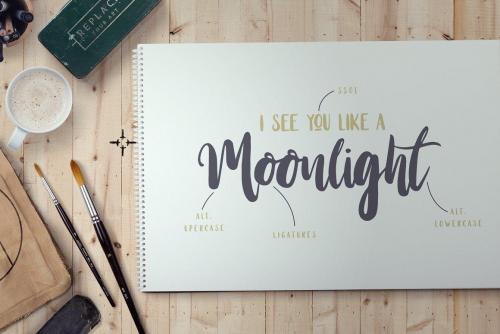 Stay Wildy Script Font 2