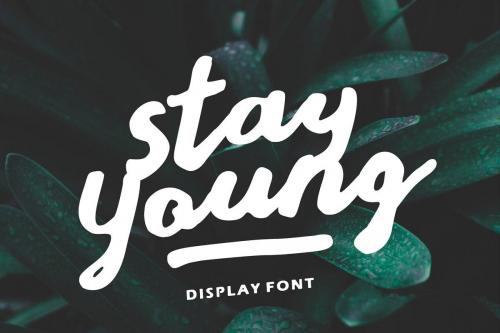 Stay Young Display Font 1