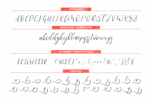 Stemle Stylistic Font 5
