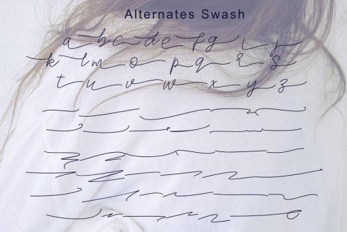 Stylish Script Font  8