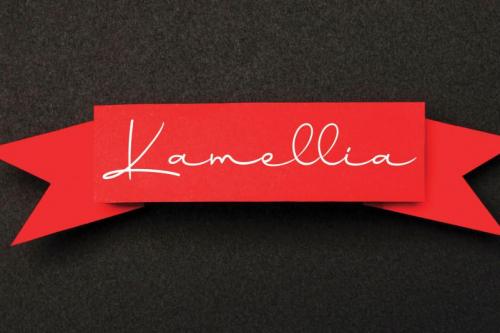 Sunflower Handwritten Font 1