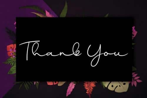 Sunflower Handwritten Font 4 (1)