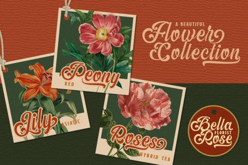 The Amberton Script Font 3