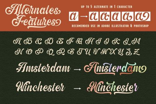 The Amberton Script Font 7