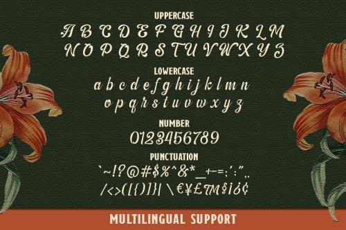 The Amberton Script Font 8