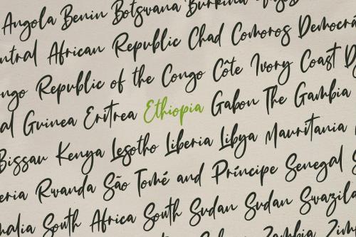 The Fashionist Font  11