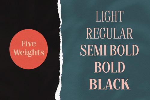 The Stegris Font Family  1