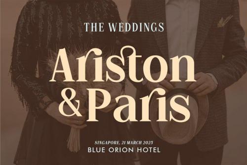 The Stegris Font Family  4