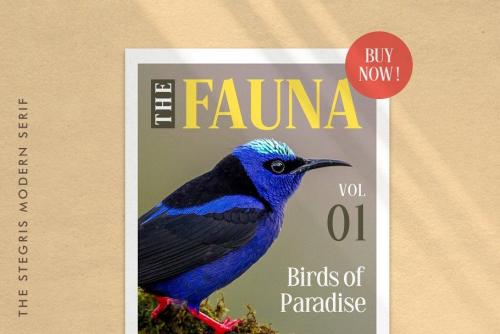 The Stegris Font Family  5