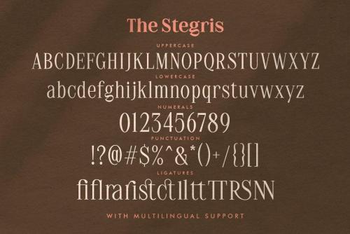 The Stegris Font Family  8
