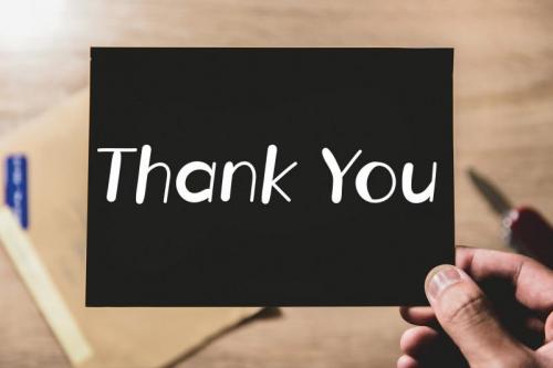 Thistle Flower Display Font 4