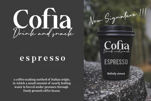 Timeline Serif Font 1