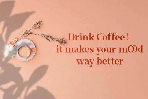 Timeline Serif Font 5